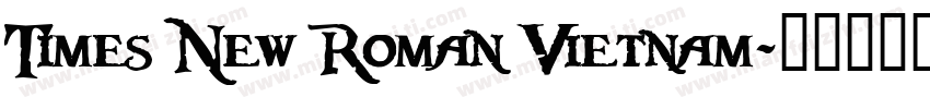 Times New Roman Vietnam字体转换